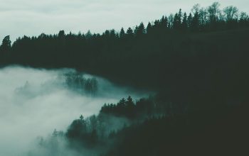 Wallpaper Majestic Mountains