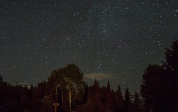 Wallpaper White RV Trailer Surrounded by Trees at Night
