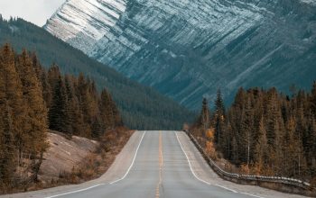 Wallpaper Gray Concrete Road Between Trees Near Mountain