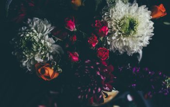 Wallpaper Assorted-Color Petaled Flowers