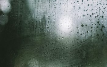 Wallpaper A Window with Raindrops