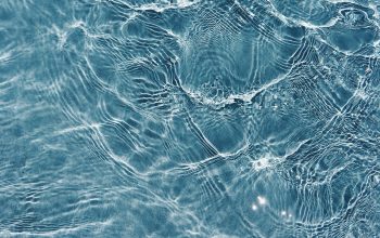 Wallpaper Water Ripple Digital