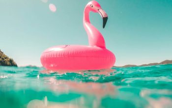 Wallpaper Pink Flamingo Swim Ring on Body of Water in Summer