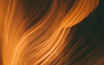 Wallpaper Brown Hair