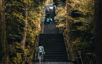 Wallpaper Three People Walking on Stairs Between Green Trees