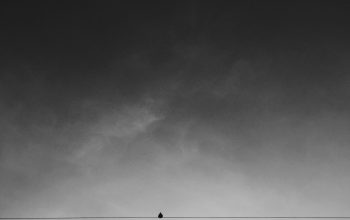 Wallpaper Two Black Birds on Electric Wires Under Gray Sky During Daytime