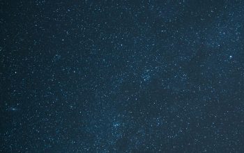 Wallpaper Low Angle Starry Night