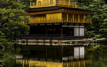 Wallpaper Gold and Black Pagoda