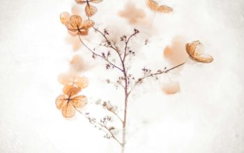 Wallpaper Brown Floral Painting