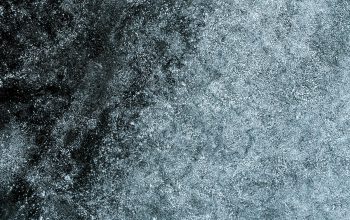 Wallpaper A Black and White Snowscape