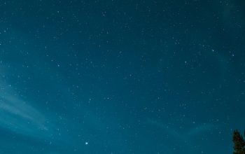 Wallpaper Grass Covered Field, Forest, and Distant Mountain at Night