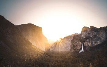 Wallpaper Gray Mountain Surrounded by Trees at Sunrise