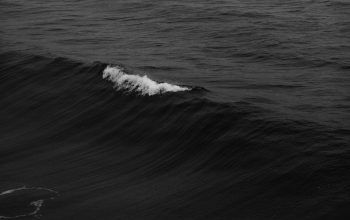 Wallpaper Ocean Wave in Shallow Focus Lens