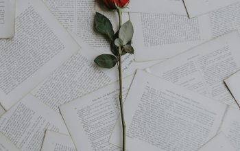 Wallpaper Red Rose on Book Sheets
