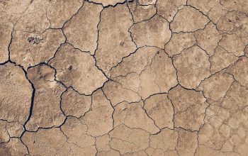 Wallpaper Cracked Cement