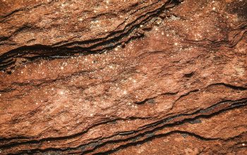 Wallpaper A Close Up of a Rock Surface with Water