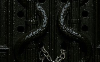 Wallpaper Gray Chain Padlock on Door Closeup