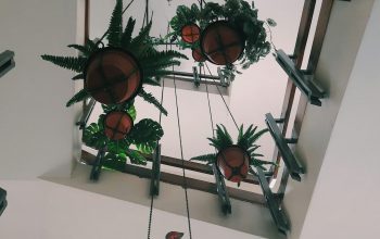 Wallpaper Low Angle Photography of Hanging Plant Pots