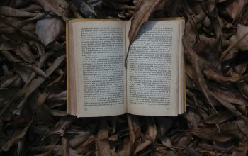 Wallpaper Book Open on Dried Leaves Top-View Photography