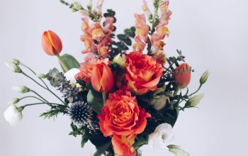 Wallpaper Red Flower Arrangement on White Table