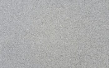 Wallpaper A Bird Standing on Beach Sand