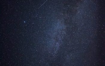 Wallpaper Starry Night