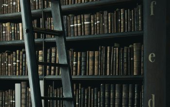 Wallpaper Library Shelf Near Black Wooden Ladder