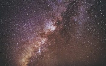 Wallpaper Stargazer
