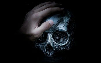 Wallpaper Person Holding Gray Skull Illustration