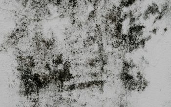 Wallpaper A Black and White Wall
