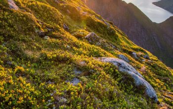 Wallpaper Mountain Range