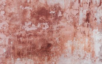 Wallpaper A Red and White Wall with a Brown and White Painting