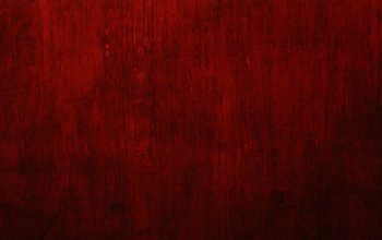 Wallpaper Red and Black Floral Textile
