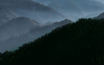 Wallpaper Mountain with Fog