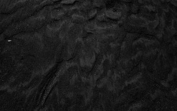 Wallpaper Black and Gray Floral Textile