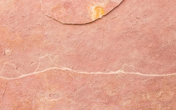 Wallpaper A Bird Sitting on a Red Rock