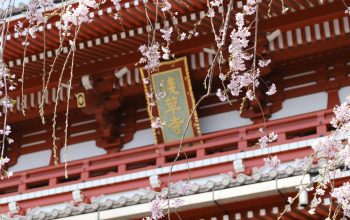 Wallpaper Red and White Wooden House