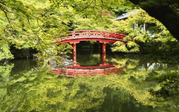 Wallpaper Red Bridge Over Water Near Trees