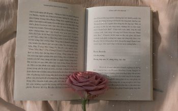 Wallpaper Pink Rose on Open Book