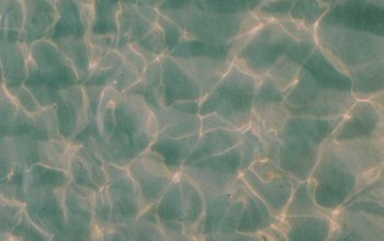 Wallpaper The Water is Reflecting the Sunlight on the Sand