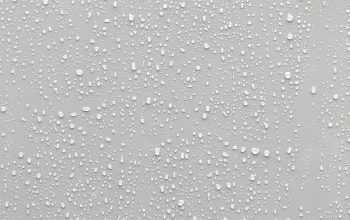 Wallpaper Water Drops on a Glass Surface with a White Background