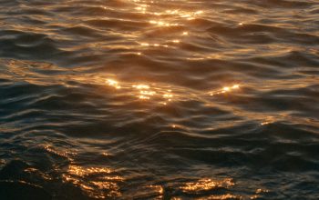 Wallpaper Calm Sea During Golden Hour