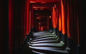 Wallpaper Orange and Black Tunnel