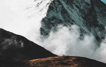 Wallpaper A Mountaintop Encounter