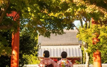 Wallpaper Women in Dresses Walking Bear Trees