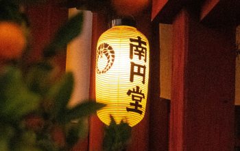 Wallpaper Turned-On Black and Brown Chinese Lantern