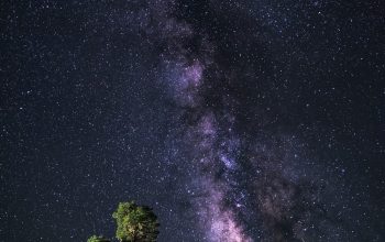 Wallpaper Milky Way Over Trees
