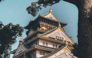 Wallpaper White and Black Japanese Castle