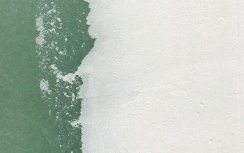 Wallpaper White and Green Wall