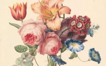 Wallpaper Pink and White Flower Painting